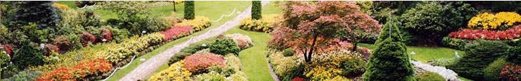 Landscape Design Ideas